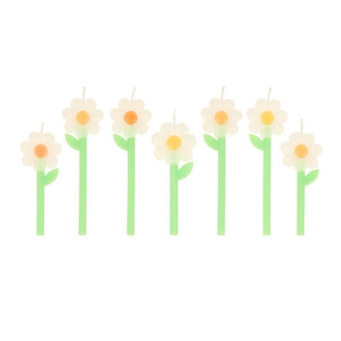 Daisy candles